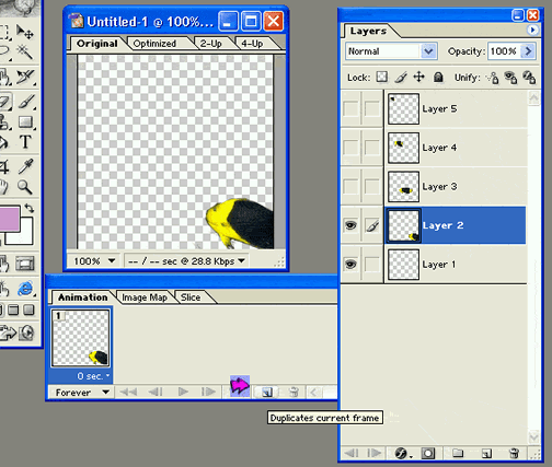 graphic: duplicate frame