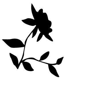 Image of rose with a rollover name appearing.